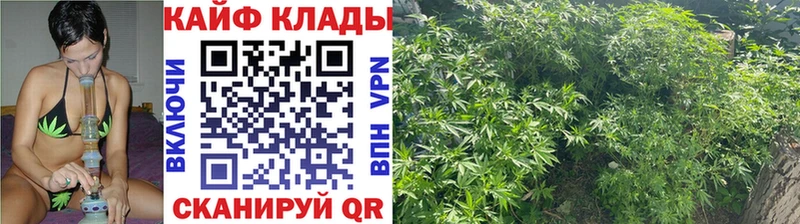  КОКАИН Владимир