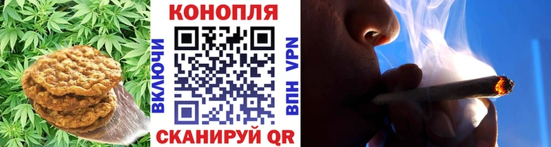 мега онион  Владимир  Canna-Cookies марихуана  где купить наркоту 
