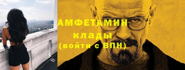 дживик Инта