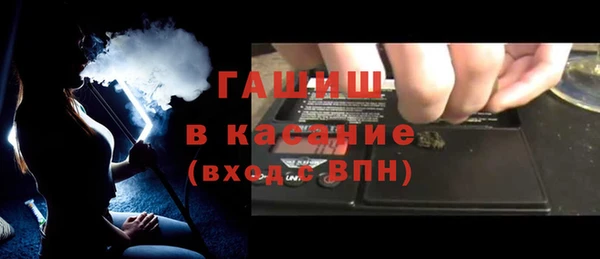мдпв Инсар