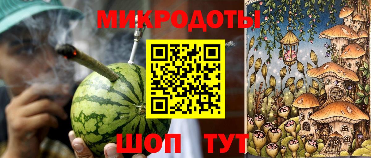 Псилоцибиновые грибы мицелий Владимир