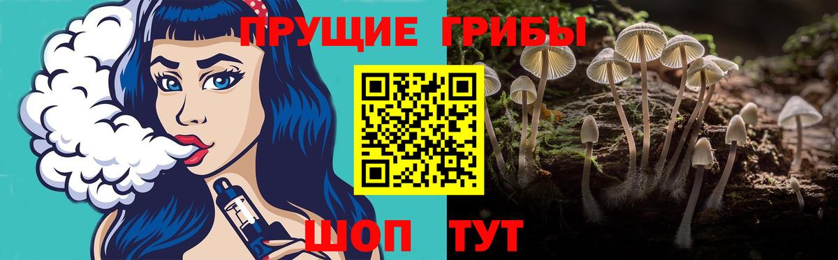 Псилоцибиновые грибы ЛСД  Псилоцибиновые грибы MAGIC MUSHROOMS  где продают наркотики  Владимир 