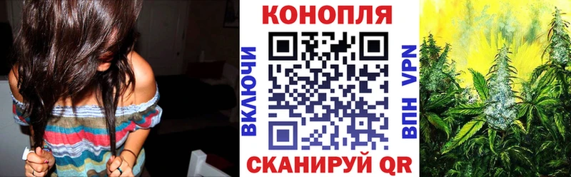 Канабис ГИДРОПОН  Владимир 